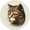Tabby